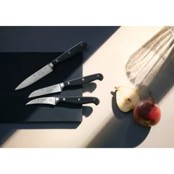 Spitzenklasse Plus Obst-/Gemüsemesser-Vorteils-Set*, 3-teilig|WMF Discount